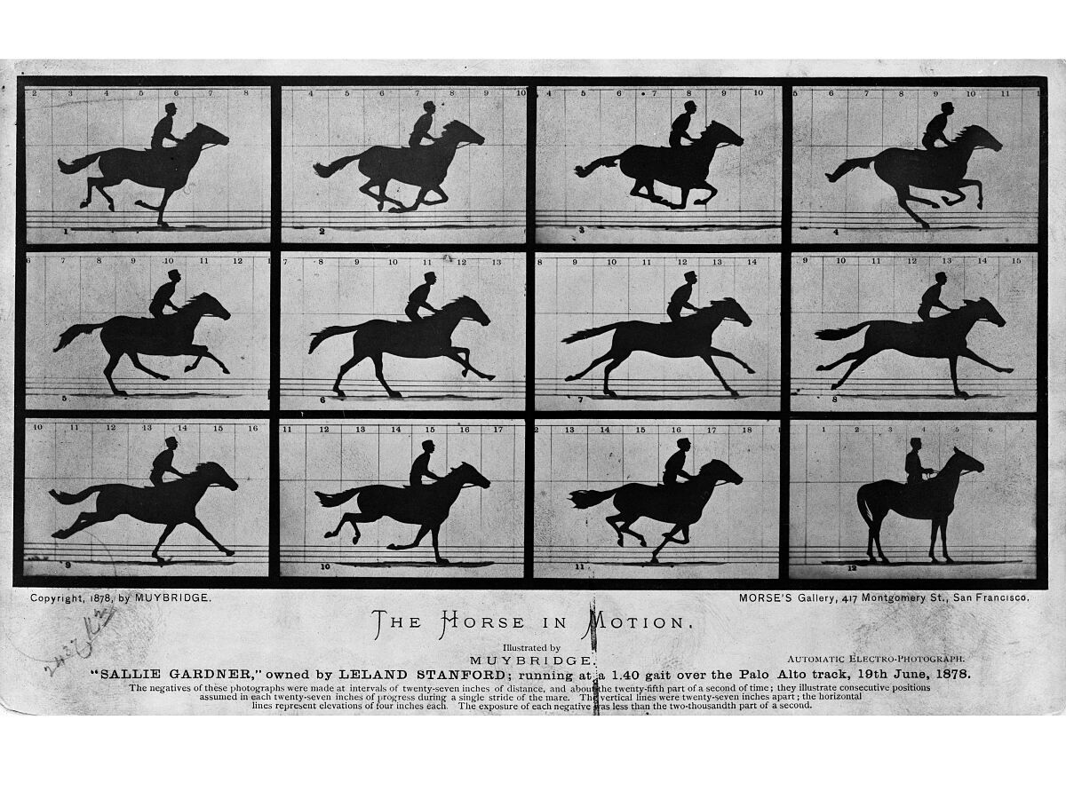 Eadweard Muybridge: The Horse in Motion